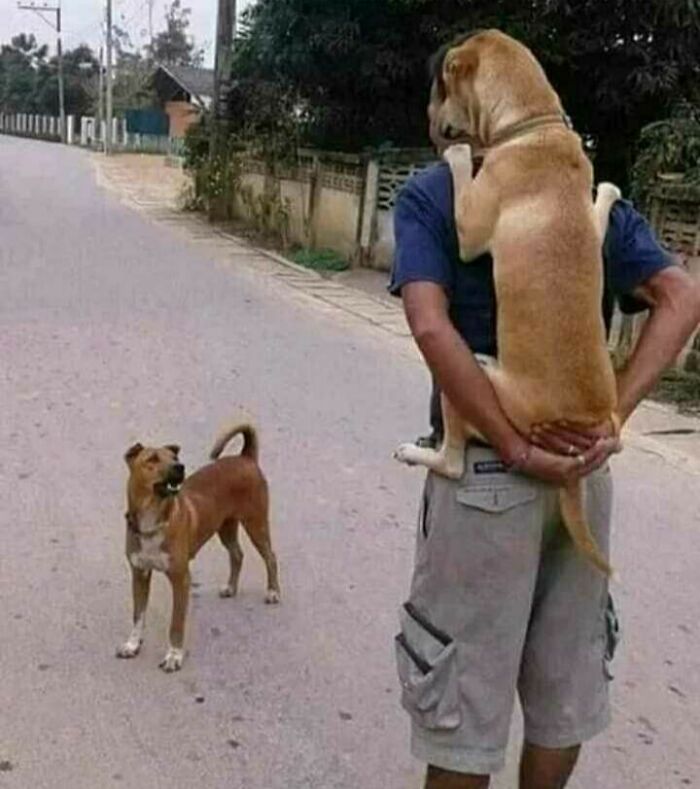 These Heartwarming Animal Photos Show The Beautiful Bond Between Animals And Humans (31 New Pics)