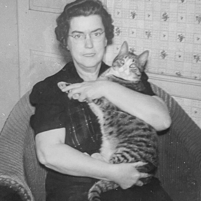 These Charming Vintage Cat Photos Are Taking Over Instagram—and People Can’t Get Enough (30 Pics)
