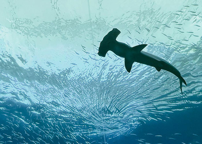 79 Times People Got Exclusive Access To Places And Couldn’t Believe Their Luck