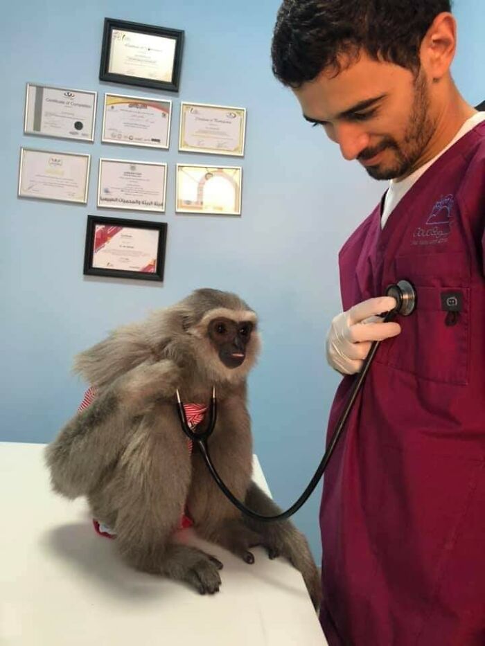 These Heartwarming Animal Photos Show The Beautiful Bond Between Animals And Humans (31 New Pics)