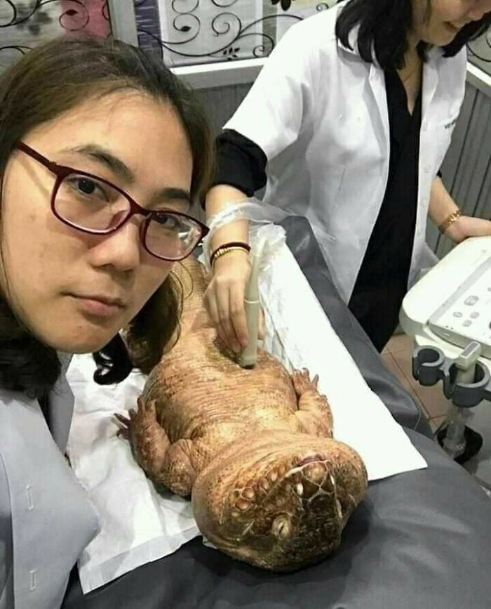 These Heartwarming Animal Photos Show The Beautiful Bond Between Animals And Humans (31 New Pics)