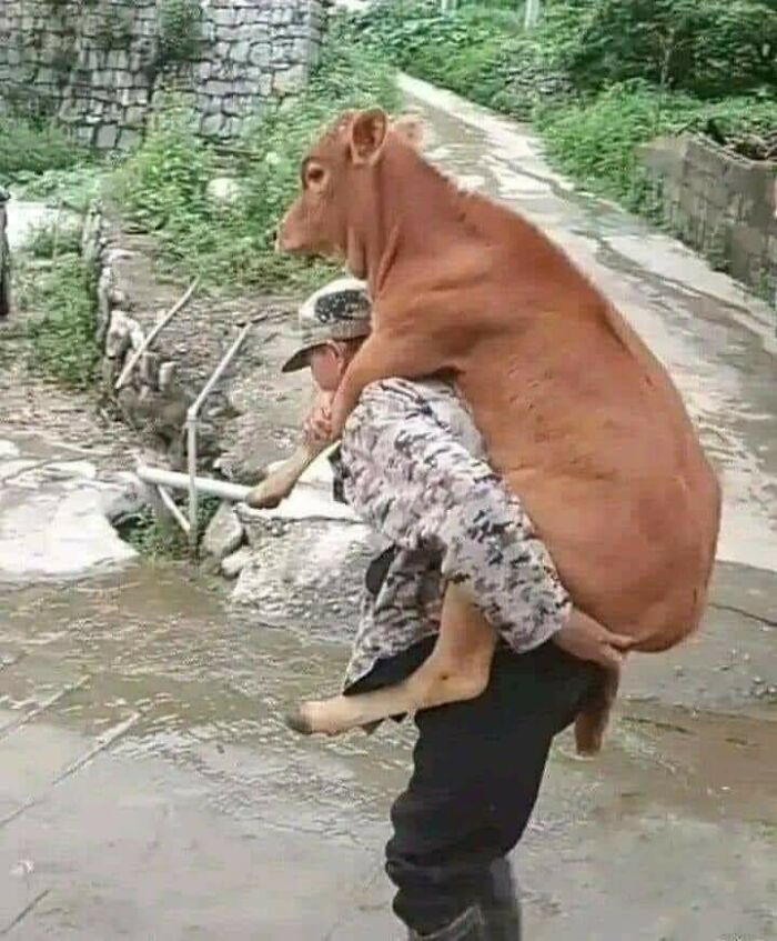 These Heartwarming Animal Photos Show The Beautiful Bond Between Animals And Humans (31 New Pics)