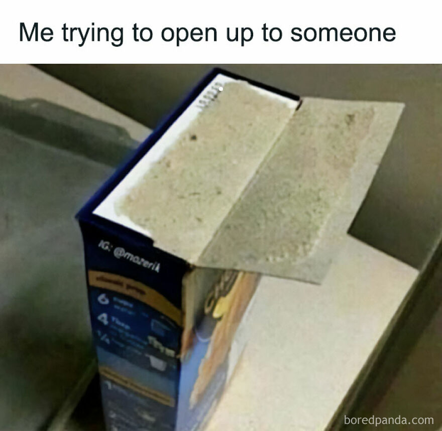 Funny-Relatable-Introvert-Memes