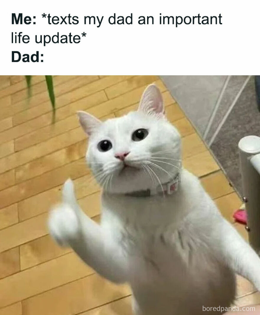 Funny-Relatable-Introvert-Memes