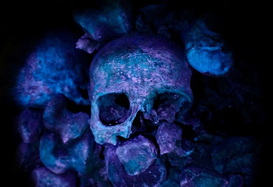 Eerie skull and bones, glowing blue/purple in the dark, evoke bizarre human body quirks.