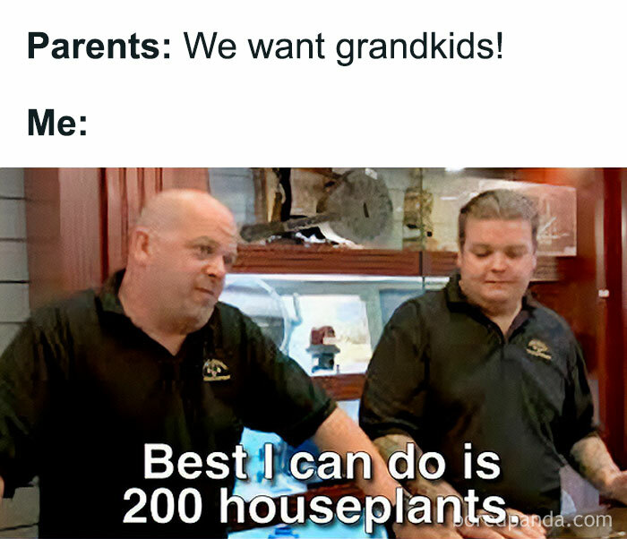 A meme from Pawn Stars saying "Best I can do is 200 houseplants." Funny for a crazy plant parent who loves meme language.