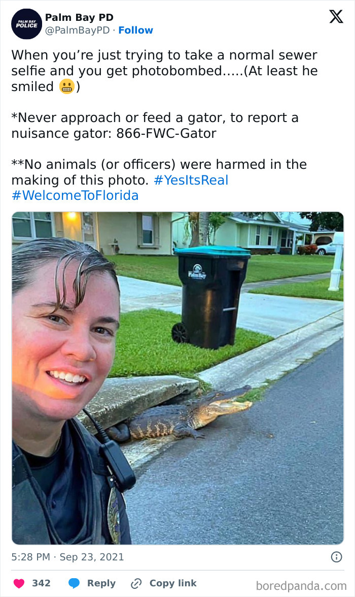 Police officer taking a selfie near a sewer with an alligator, illustrating gut warnings about something horrible moments.