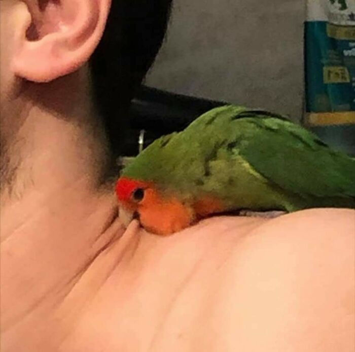 These Heartwarming Animal Photos Show The Beautiful Bond Between Animals And Humans (31 New Pics)