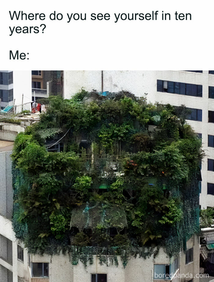 A building completely covered in plants, exemplifying a plant parent's future. This meme highlights crazy plant parent aspirations.