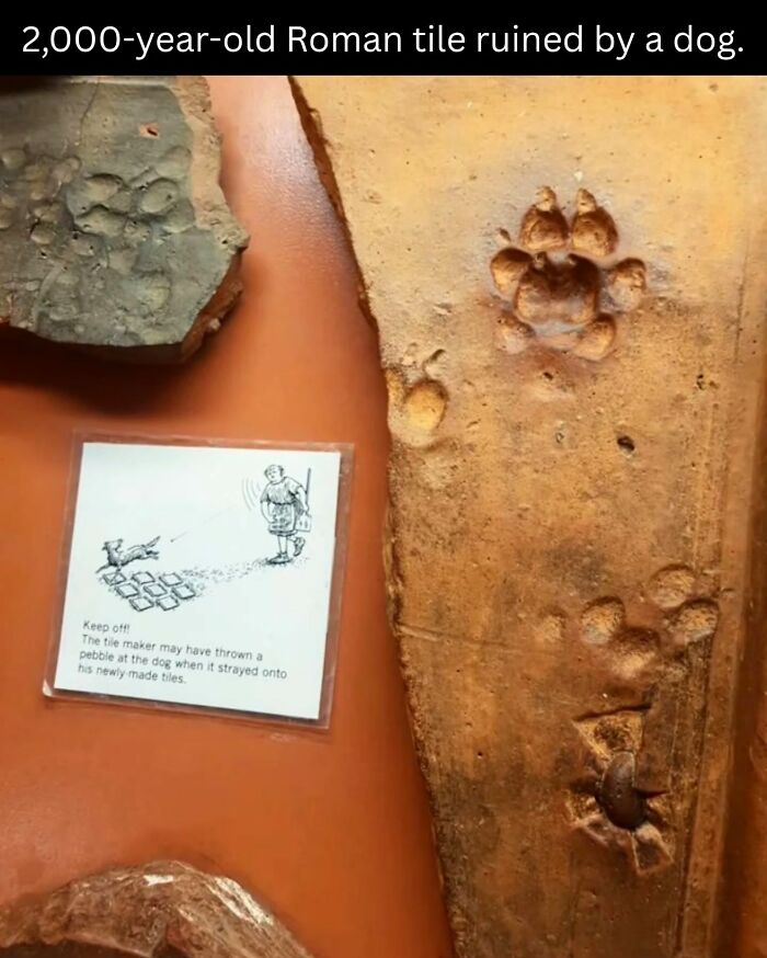 These Fascinating Historical Photos Offer A Rare Glimpse Into The Past (31 Pics)