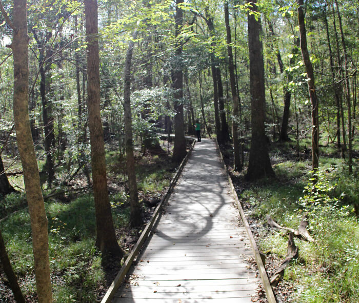Noiva bloqueia cachoeira em parque público para seu casamento, seu pai então ameaça pessoas que reclamam Noiva bloqueia cachoeira em parque público para seu casamento, seu pai então ameaça pessoas que reclamam