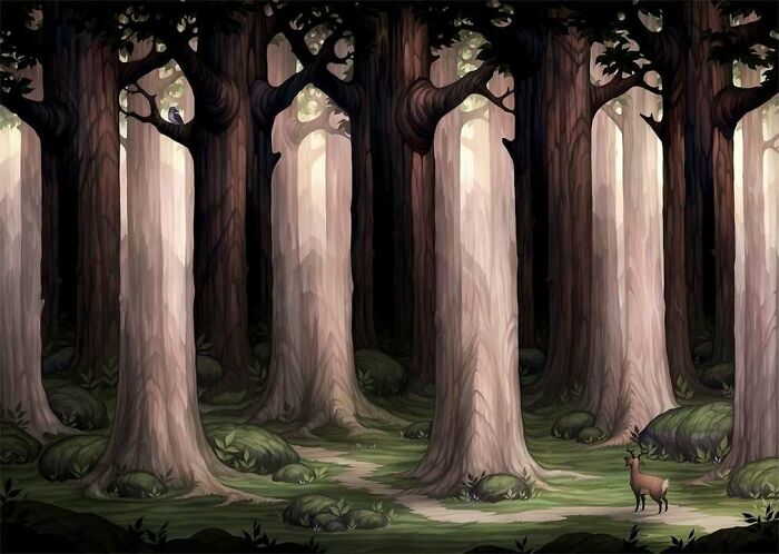 A dense forest with tall trees and soft lighting, featuring a lone deer in a confusing and unhinged scene.