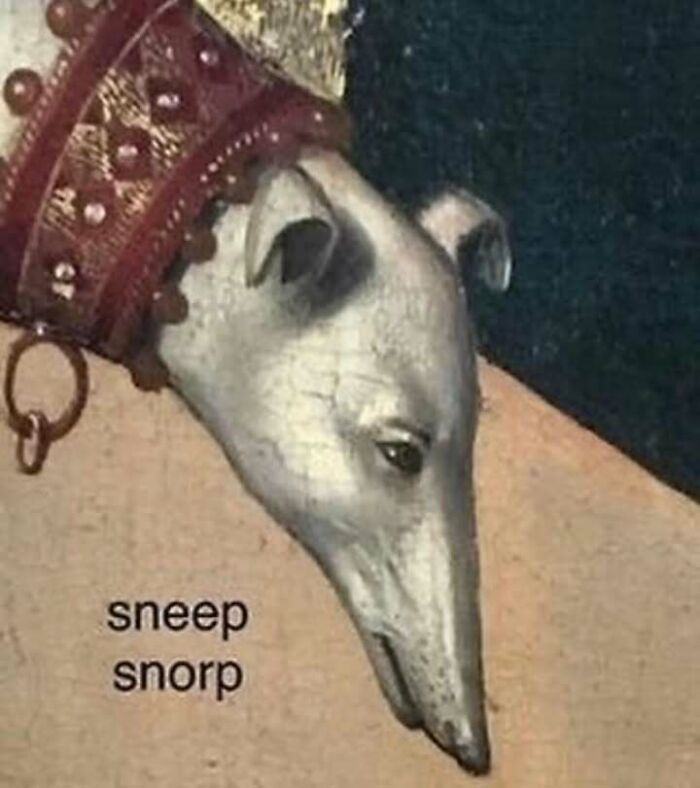 Unhinged and confusing image of a dog with an elongated snout wearing a decorative collar, appearing bizarre and surreal.