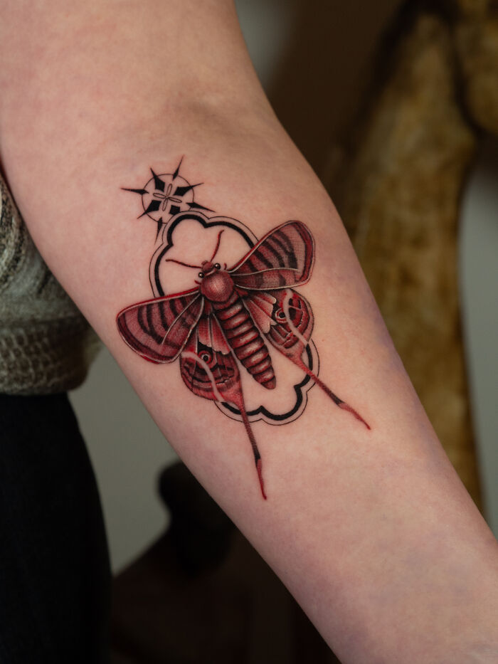 The Crimson Navigator