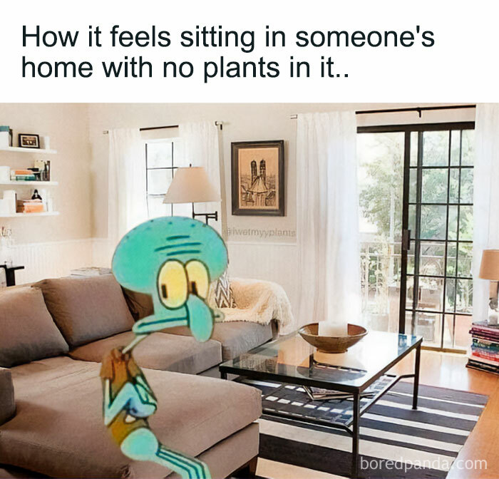 Squidward looking distressed in a plant-less living room, a perfect meme for crazy plant parents.