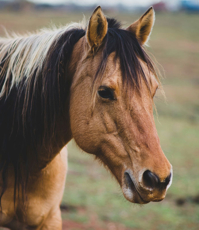 69 Random And Cool Facts People Know That Are Useless But Fun To Share With Friends