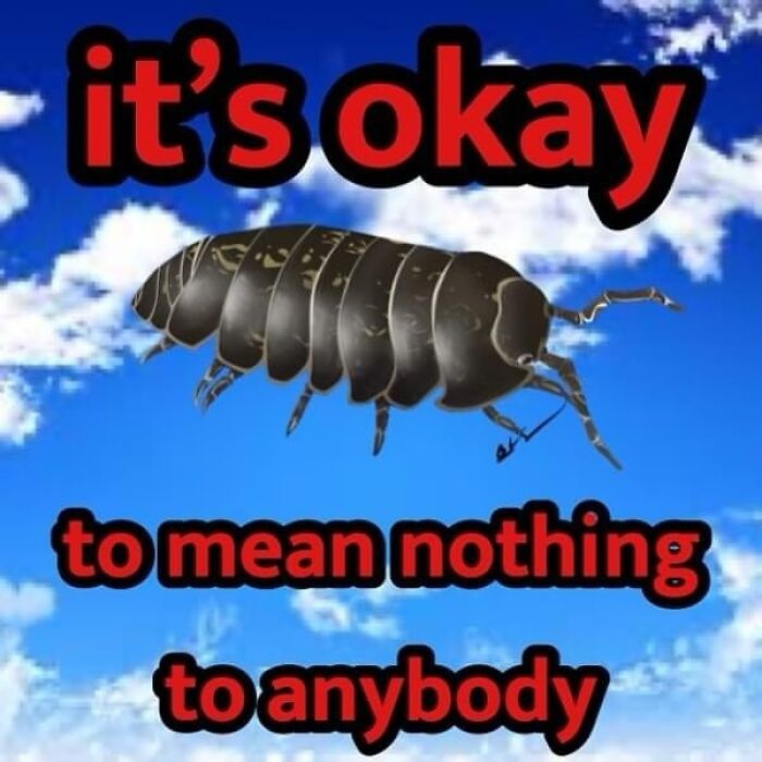 Confusing and unhinged image of an insect with surreal text saying it’s okay to mean nothing to anybody against a blue sky background.
