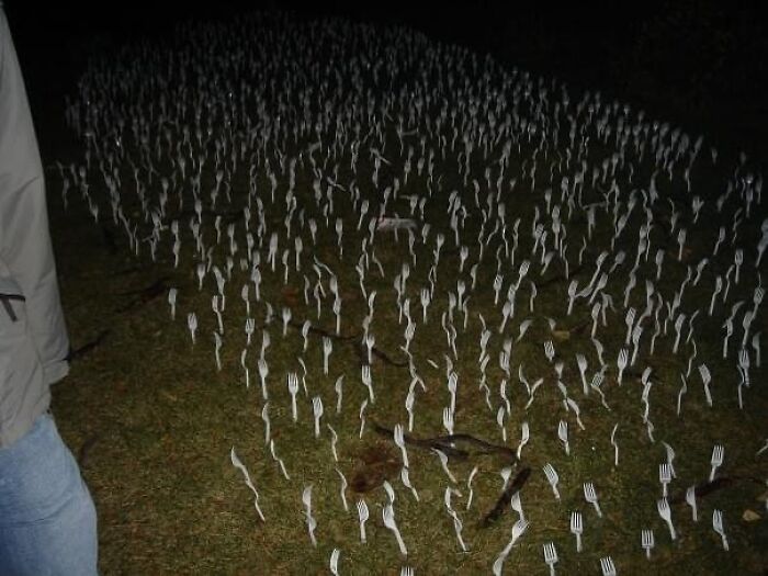 A field filled with hundreds of forks stuck in the ground creating a confusing and unhinged visual effect at night.