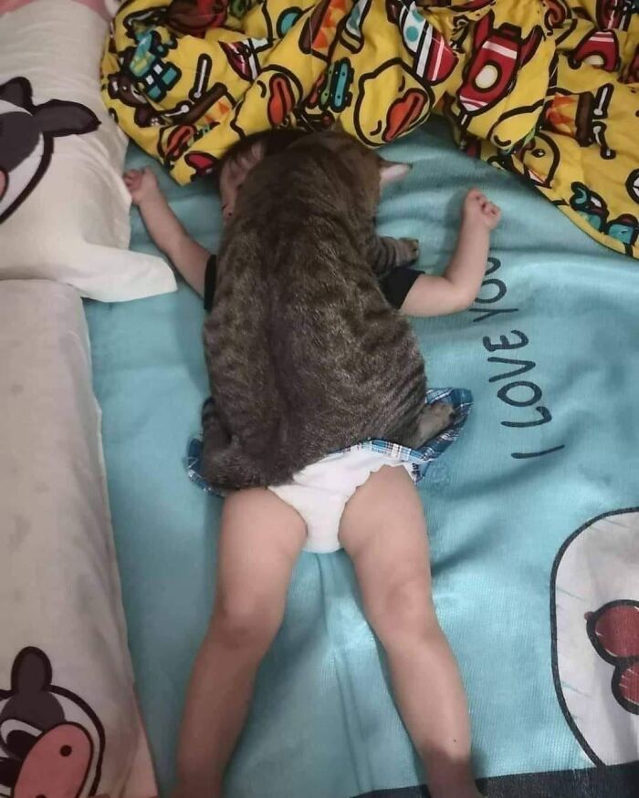 These Heartwarming Animal Photos Show The Beautiful Bond Between Animals And Humans (31 New Pics)