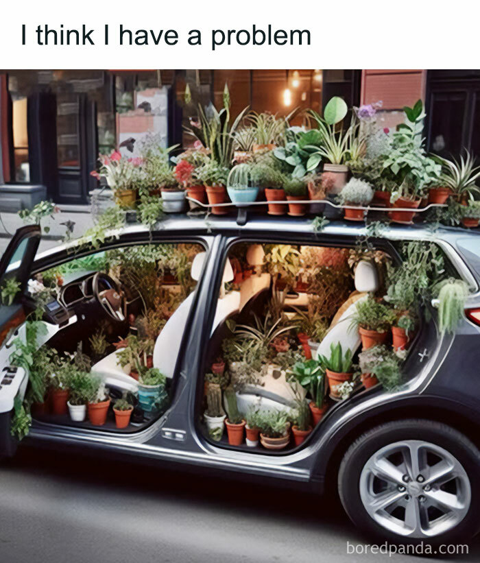 A car overflowing with potted plants, inside and on the roof, depicting a crazy plant parent meme.
