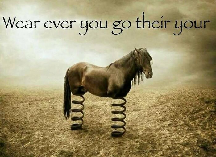 A surreal horse with coil spring legs standing on a barren landscape, showcasing confusing and unhinged imagery.