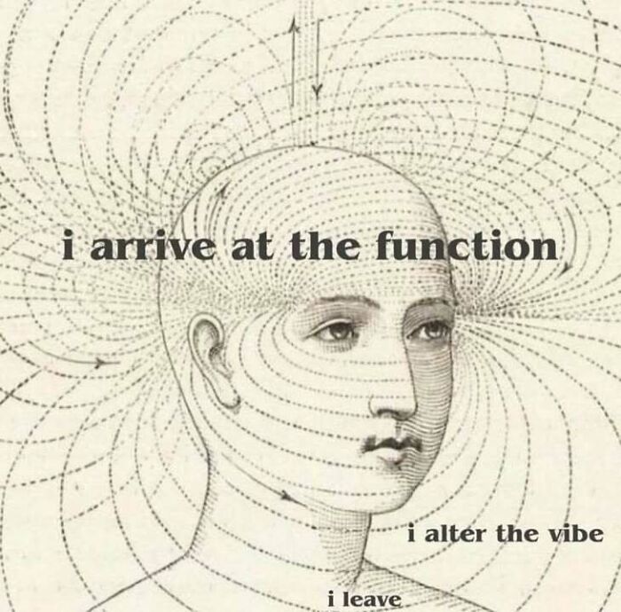 Vintage illustration of a head with magnetic field lines and text creating a confusing and unhinged image vibe.