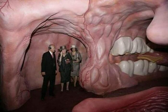 Visitors exploring a confusing and unhinged large-scale anatomical mouth exhibit where things only get weirder the longer you look.