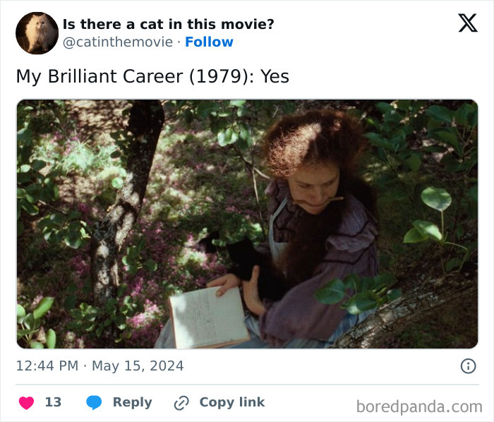 A woman in a tree with a black cat, holding an open book. This page tracks every cat in cinema.