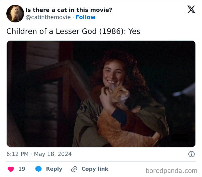 A woman with curly hair smiles while holding an orange cat in cinema, from Children of a Lesser God (1986).