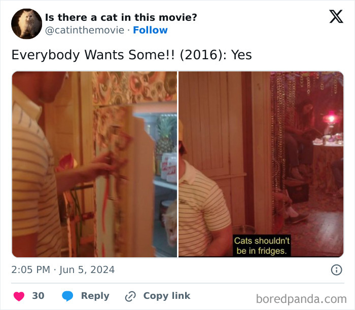 A social media post confirming a cat in cinema for "Everybody Wants Some!!" (2016), with a cat in a fridge.