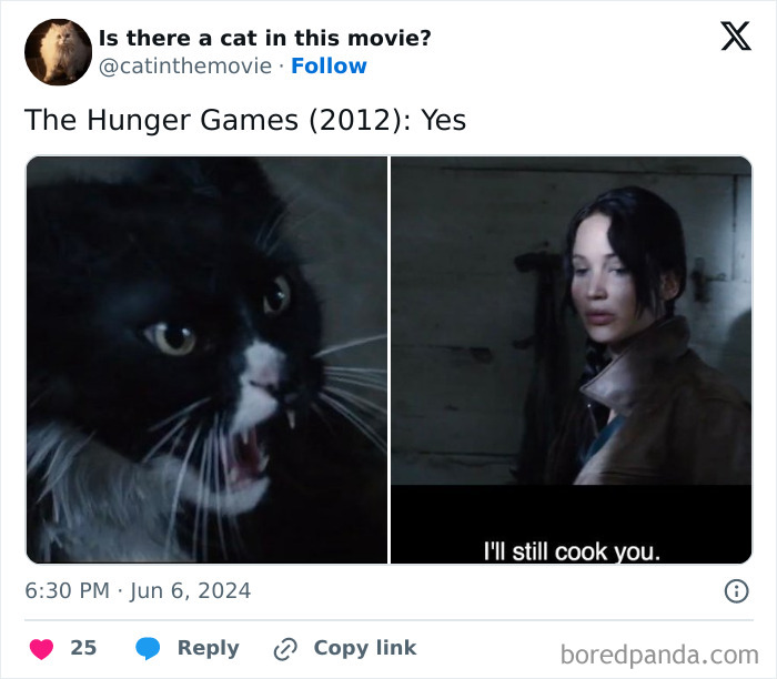 A tweet from @catinthemovie showing a black and white cat in cinema from The Hunger Games (2012) next to Katniss.