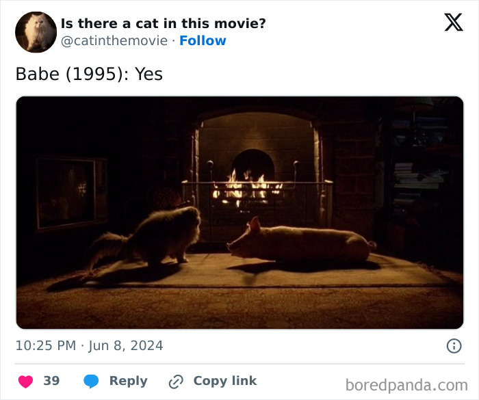 A screenshot from the movie Babe (1995) showing a cat and a pig in a dimly lit room with a fireplace. Find every cat in cinema.