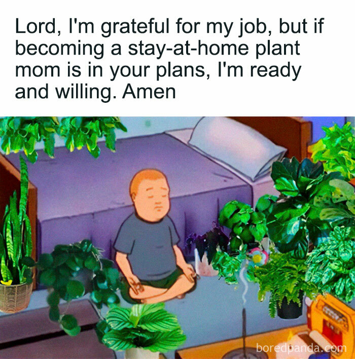 A meme featuring Bobby Hill meditating, surrounded by numerous houseplants. Perfect for a crazy plant parent.