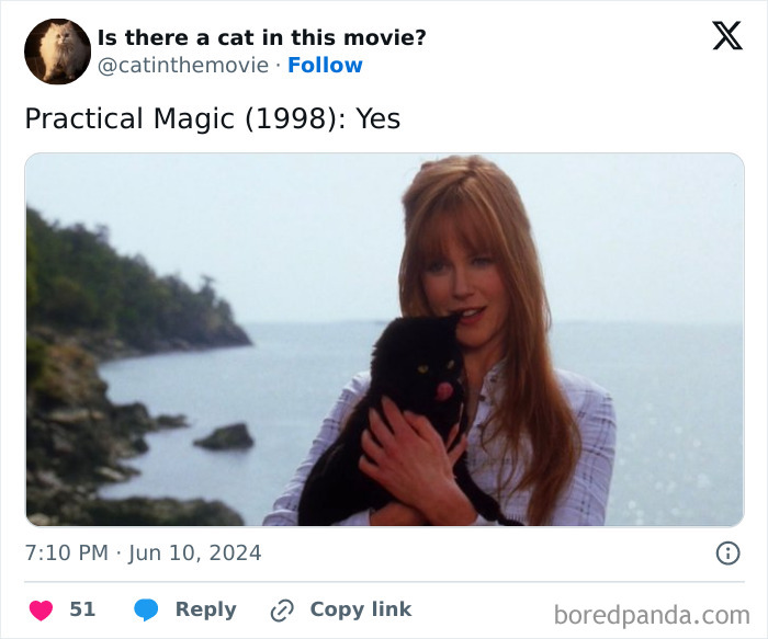 Nicole Kidman holding a black cat in the movie Practical Magic. Find every cat in cinema here!