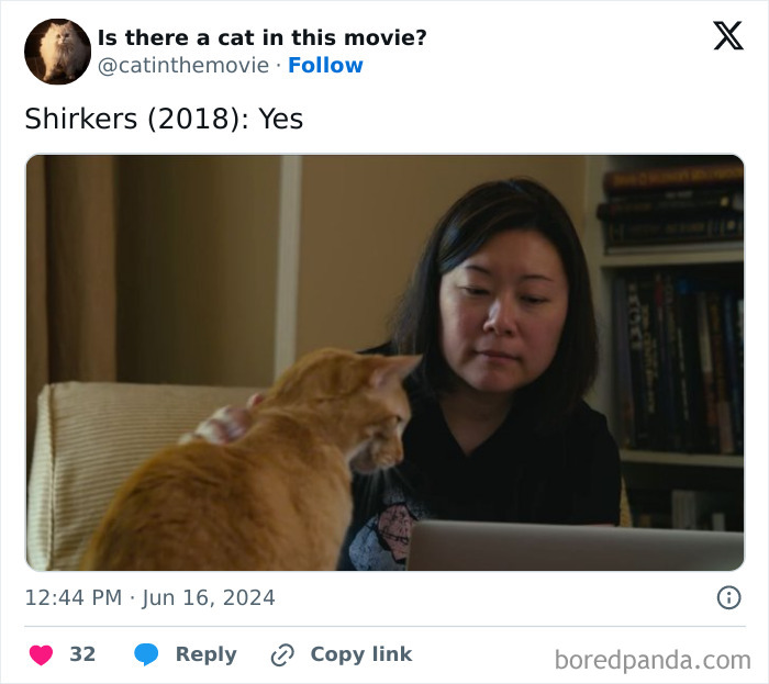 A woman at a laptop, with an orange cat in cinema looking at the screen, from the account @catinthemovie.