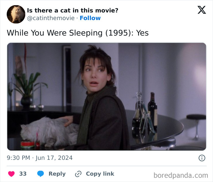 Sandra Bullock looking surprised, petting a long-haired cat in cinema. Find every cat in cinema!