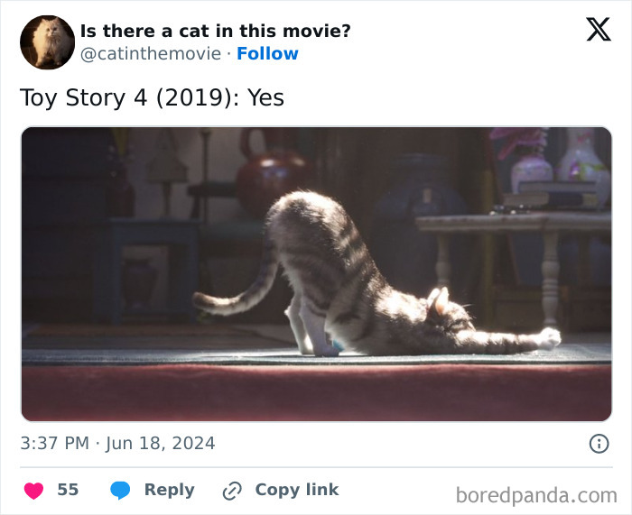 A tabbed cat cinema in Toy Story 4 stretches. Discover every cat in cinema with this resource.
