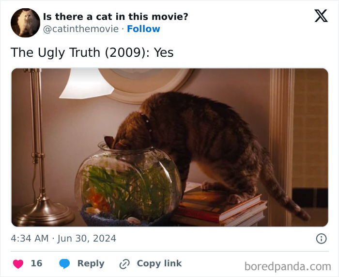 A cat from cinema drinks from a goldfish bowl, perched on books next to a lamp. A cat in cinema.