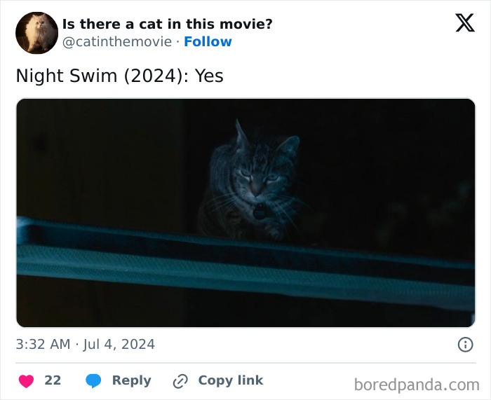 A tabby cat from the movie Night Swim (2024) is featured in a dark scene. Explore every cat in cinema.