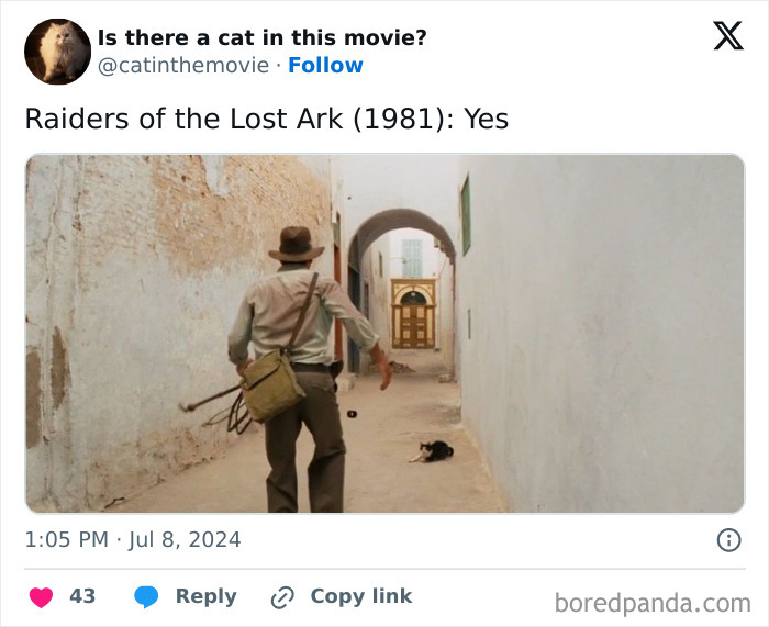 A screen capture showing Indiana Jones walking past a black and white cat in cinema. This X page tracks every cat in cinema.