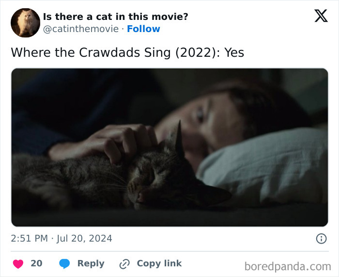A person gently pets a sleeping cat in cinema. This is one of many cats in cinema tracked by the page.
