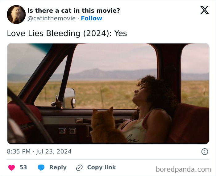 A tweet from "Is there a cat in this movie?" shows an image from "Love Lies Bleeding (2024)" featuring a cat in cinema beside a woman.
