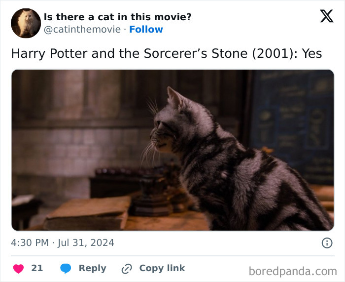 A silver tabby cat from Harry Potter and the Sorcerer's Stone. This cat in cinema example highlights movie cats you didn’t notice.