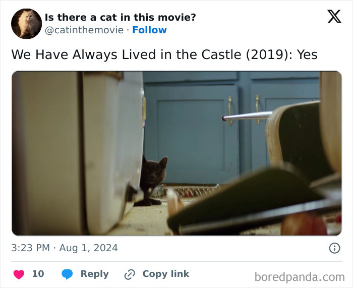 A still from "We Have Always Lived in the Castle" showing a cat peeking from behind a white appliance, tracking cats in cinema.