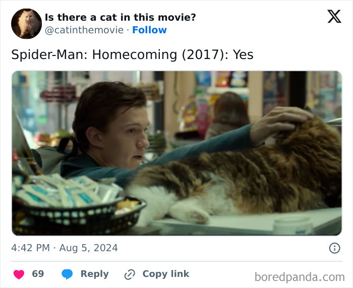 A scene from Spider-Man: Homecoming showing Peter Parker petting a fluffy brown and white cat in cinema.