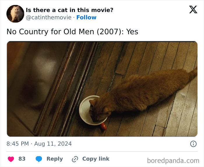 An orange cat in cinema drinks from a white bowl on a wooden floor in No Country for Old Men.