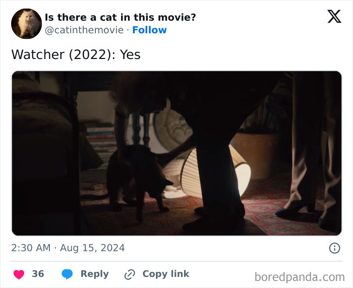 A person bends down to pet a cat in cinema, highlighted by a floor lamp, from the movie Watcher (2022).