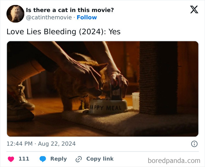 A person feeds an orange cat from a Happy Meal bowl. This cat in cinema appears in Love Lies Bleeding.