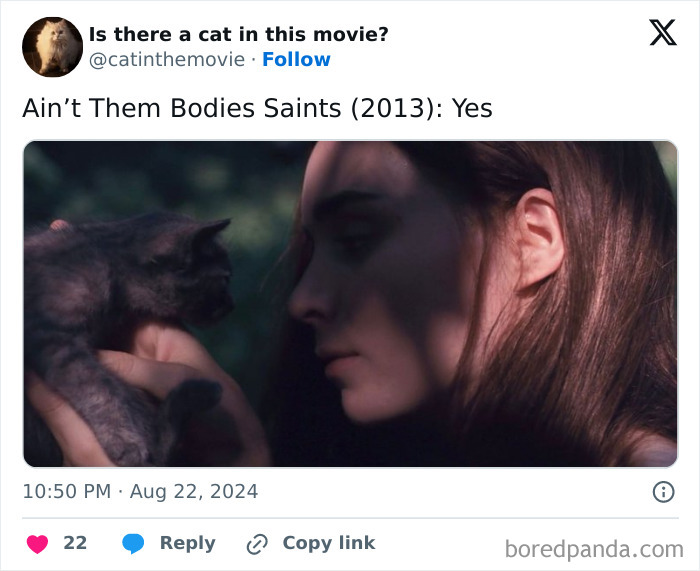 A woman holding a kitten in a movie scene. This cat in cinema is one of many you probably didn’t notice.