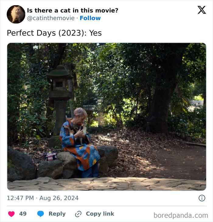 An elderly person in a colorful robe holds a cat in cinema, surrounded by lush trees and a stone lantern.